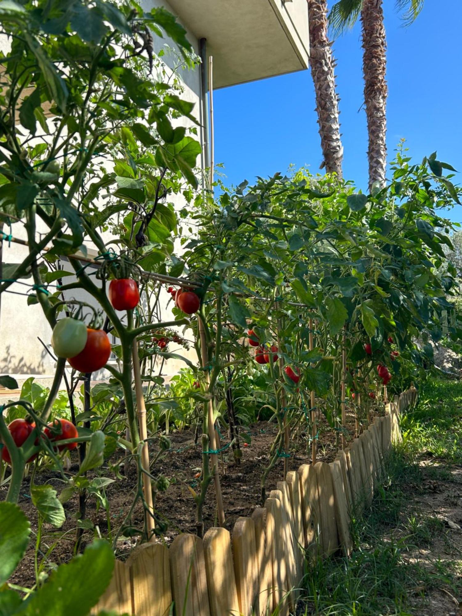 Alto Giardino Apartment Zambrone Bagian luar foto