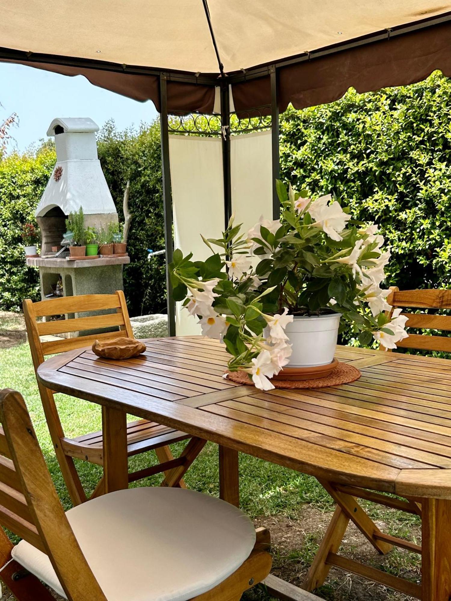 Alto Giardino Apartment Zambrone Bagian luar foto