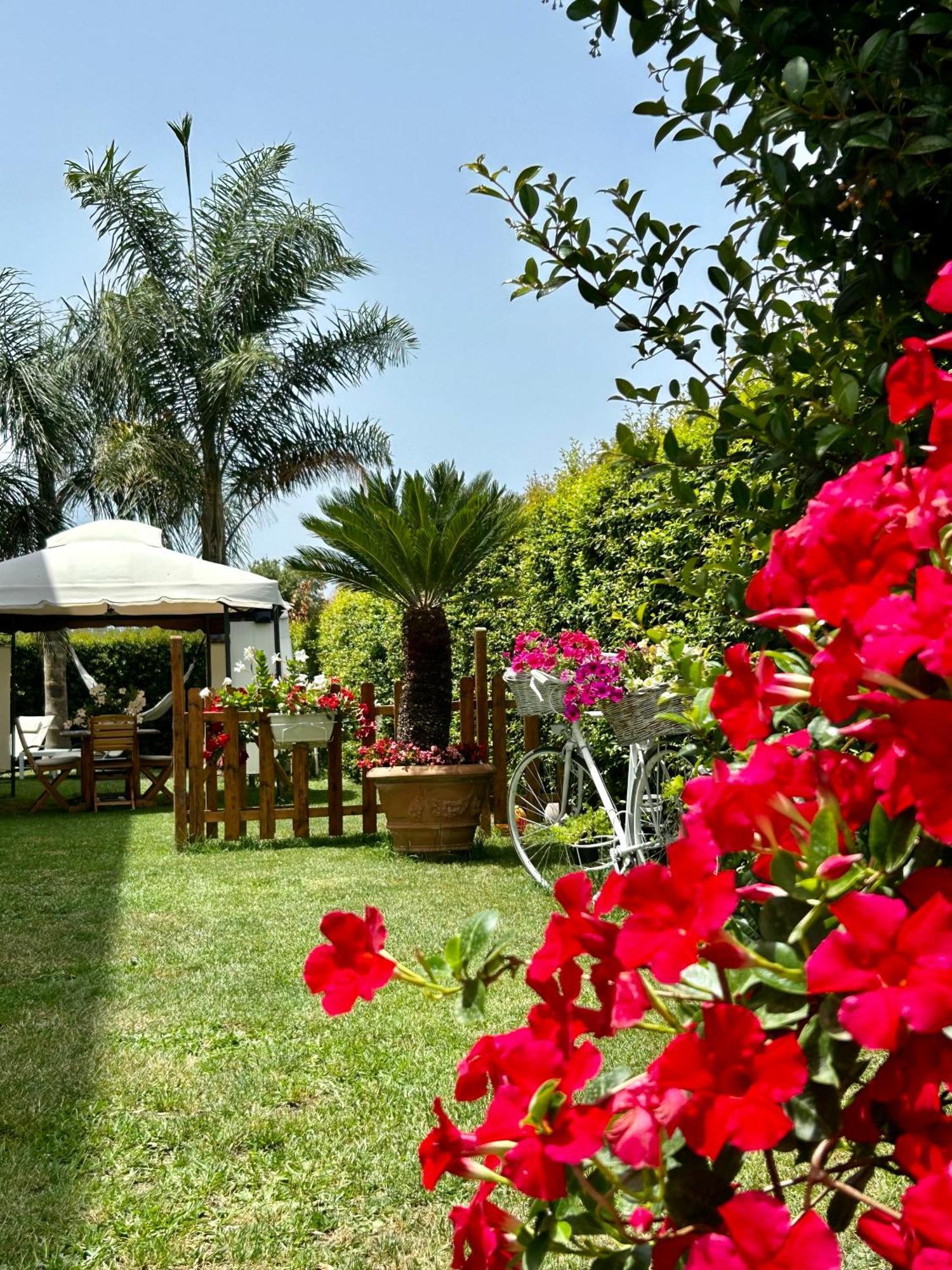 Alto Giardino Apartment Zambrone Bagian luar foto