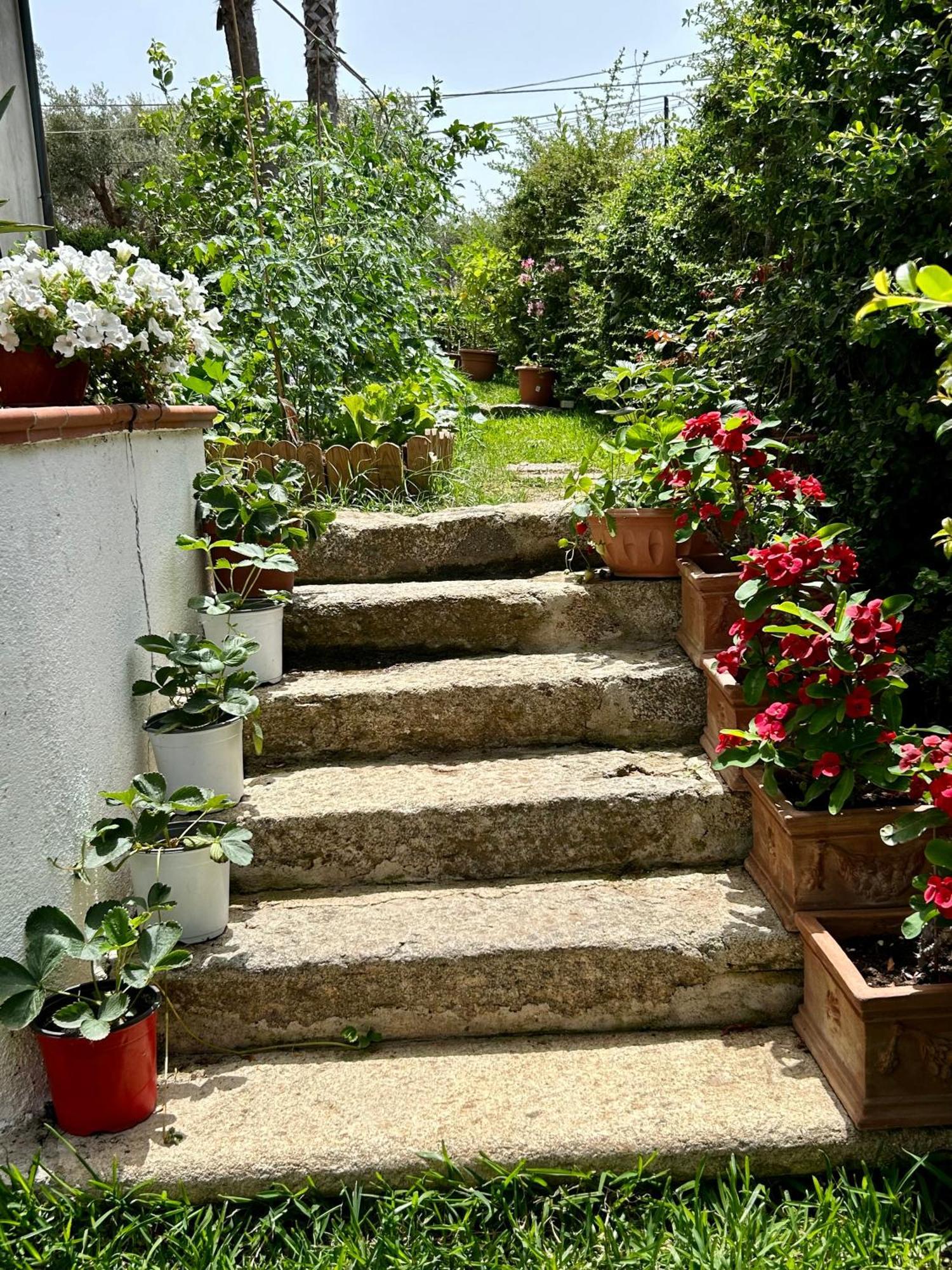 Alto Giardino Apartment Zambrone Bagian luar foto